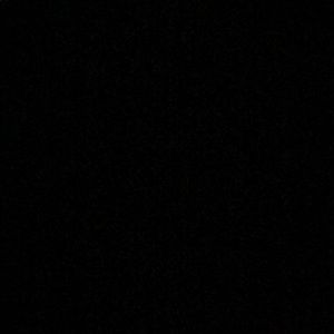 Meet your Posher, Ernesto